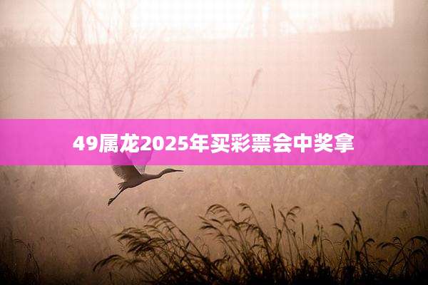 49属龙2025年买彩票会中奖拿