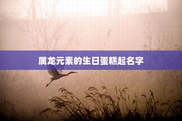 属龙元素的生日蛋糕起名字