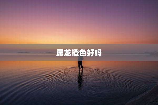 属龙橙色好吗