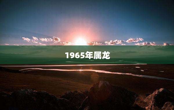 1965年属龙