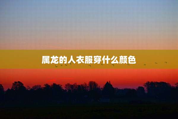 属龙的人衣服穿什么颜色