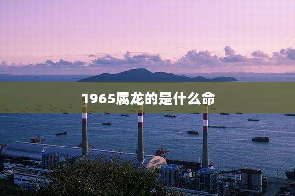 1965属龙的是什么命