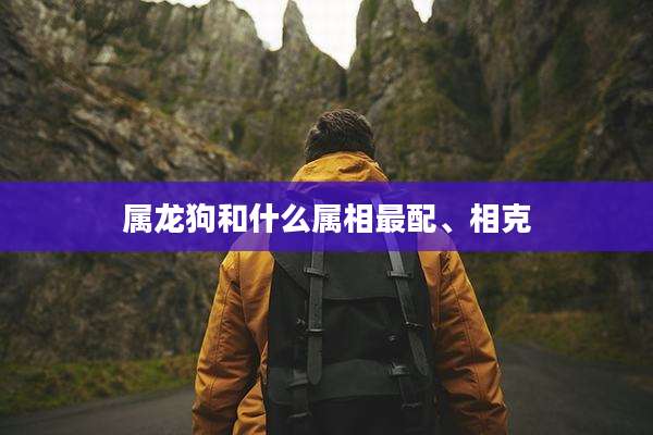 属龙狗和什么属相最配、相克