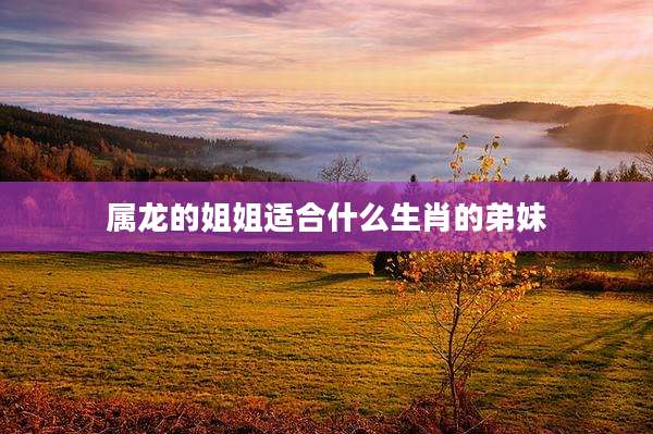 属龙的姐姐适合什么生肖的弟妹