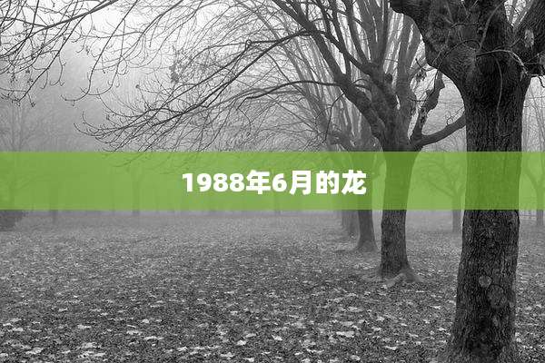 1988年6月的龙