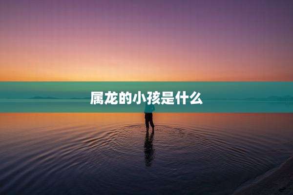 属龙的小孩是什么