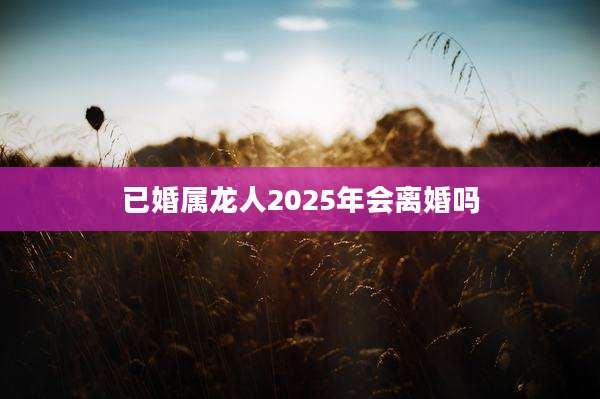 已婚属龙人2025年会离婚吗
