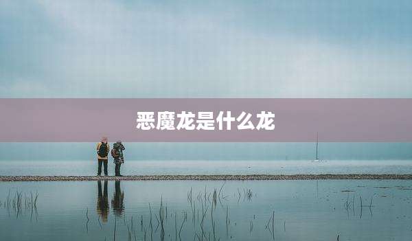 恶魔龙是什么龙