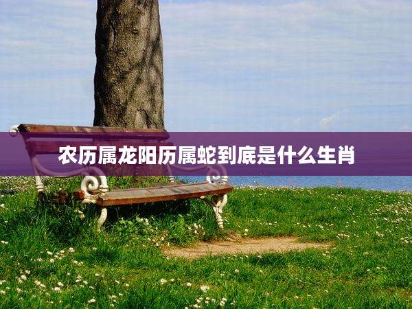 农历属龙阳历属蛇到底是什么生肖