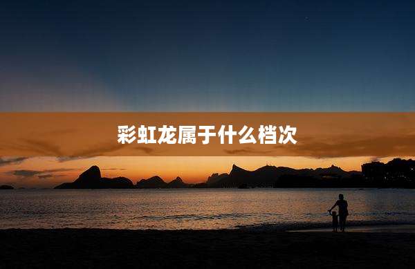 彩虹龙属于什么档次