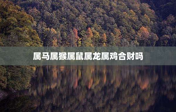 属马属猴属鼠属龙属鸡合财吗