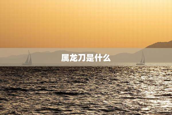 属龙刀是什么
