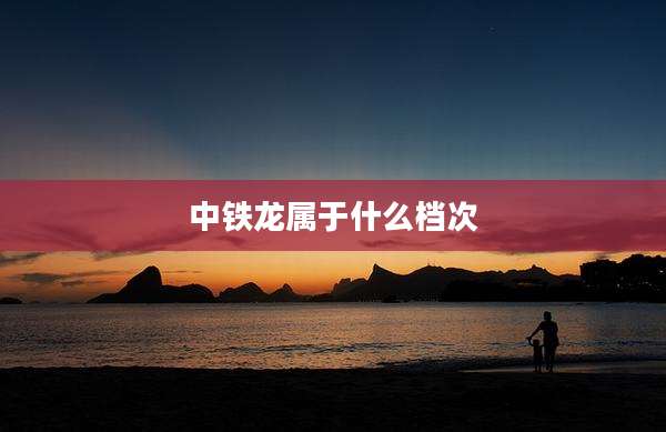 中铁龙属于什么档次