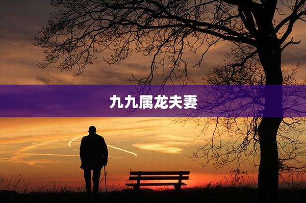九九属龙夫妻