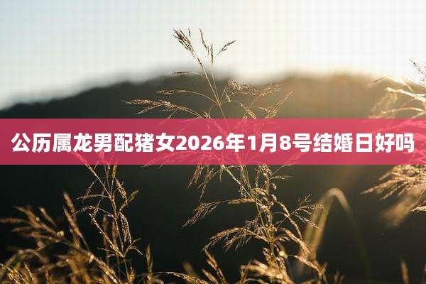 公历属龙男配猪女2026年1月8号结婚日好吗