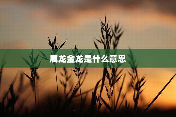 属龙金龙是什么意思