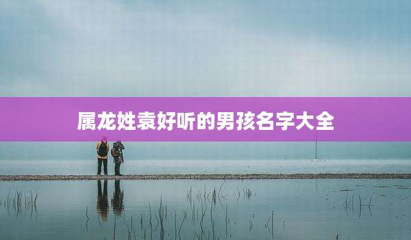 属龙姓袁好听的男孩名字大全