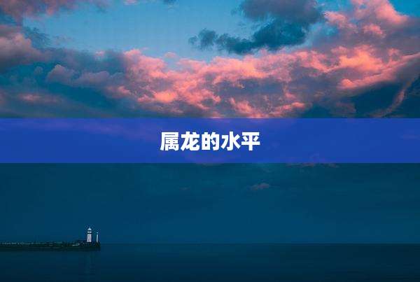 属龙的水平