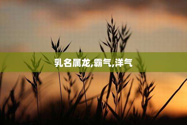 乳名属龙,霸气,洋气