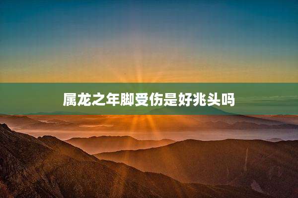 属龙之年脚受伤是好兆头吗