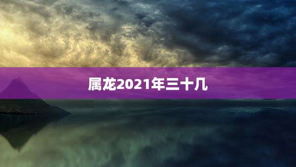 属龙2021年三十几
