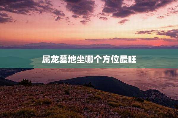 属龙墓地坐哪个方位最旺