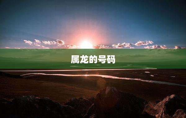 属龙的号码