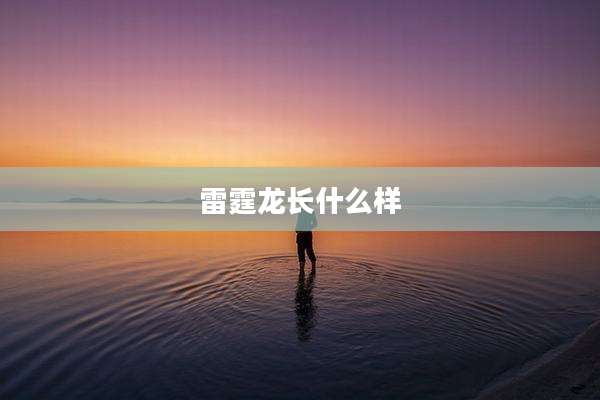 雷霆龙长什么样