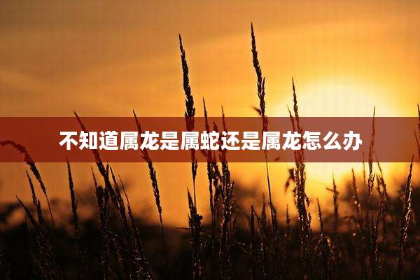 不知道属龙是属蛇还是属龙怎么办