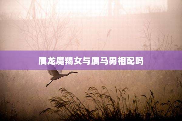 属龙魔羯女与属马男相配吗