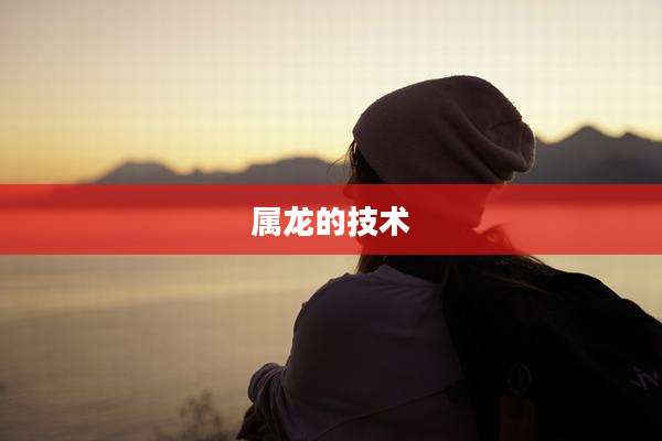 属龙的技术