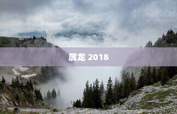 属龙 2018