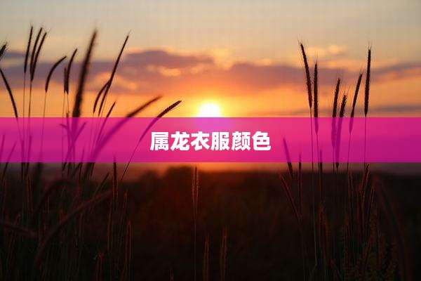 属龙衣服颜色