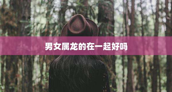 男女属龙的在一起好吗