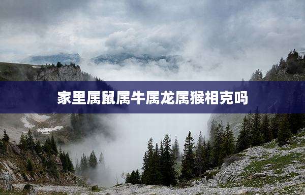 家里属鼠属牛属龙属猴相克吗