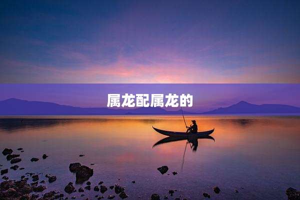 属龙配属龙的