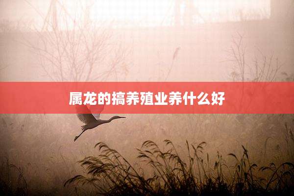 属龙的搞养殖业养什么好