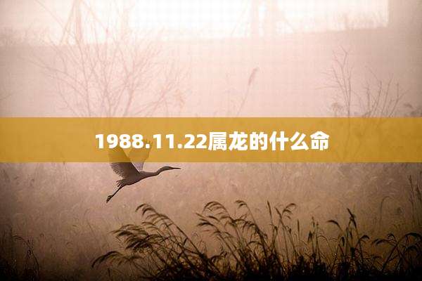 1988.11.22属龙的什么命