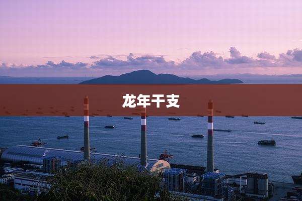 龙年干支