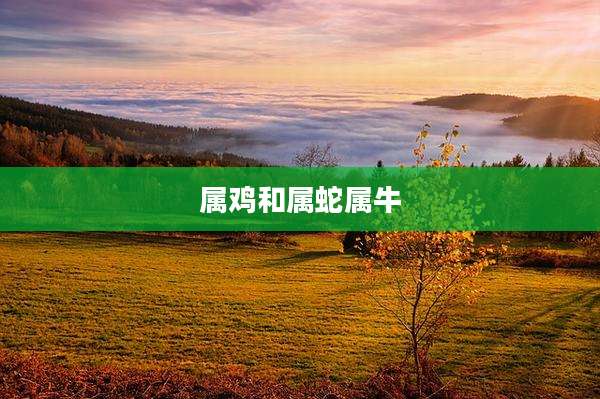 属鸡和属蛇属牛