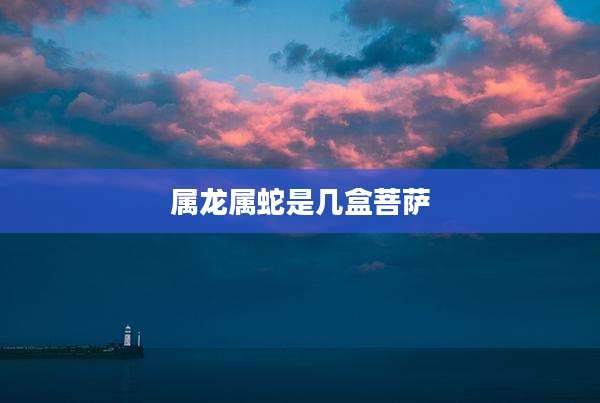 属龙属蛇是几盒菩萨