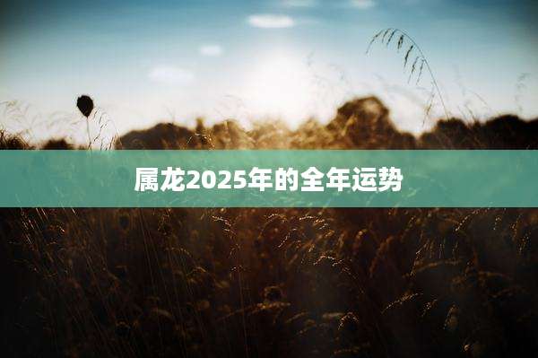属龙2025年的全年运势