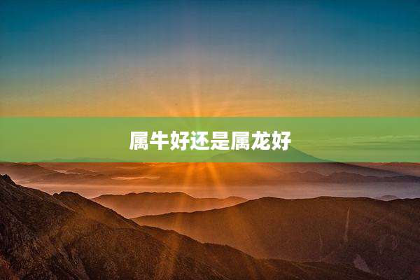 属牛好还是属龙好