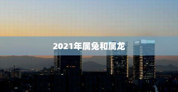 2021年属兔和属龙