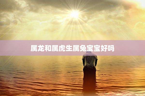 属龙和属虎生属兔宝宝好吗