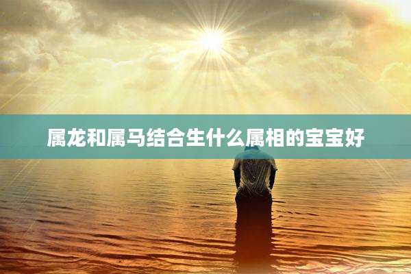 属龙和属马结合生什么属相的宝宝好