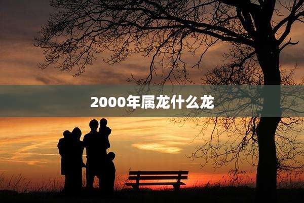 2000年属龙什么龙