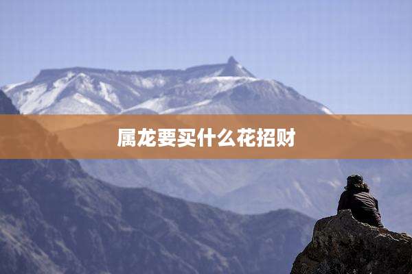 属龙要买什么花招财
