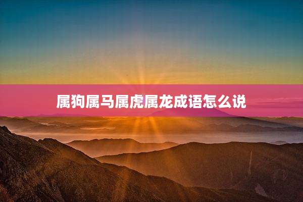 属狗属马属虎属龙成语怎么说