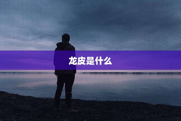 龙皮是什么